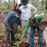 कटघोरा के जंगल में तेंदुए का शिकार, नाखून, दांत समेत कई अंग मिले गायब