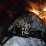 वन विभाग की तत्परता से टली बड़ी वन क्षति